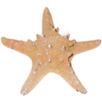 105698 ΑΣΤΕΡΙΑΣ RHINO 3-4